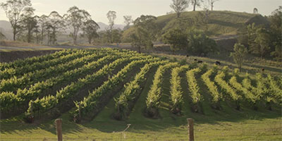 Thumbnail Image 1