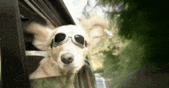 Thumbnail Image 1