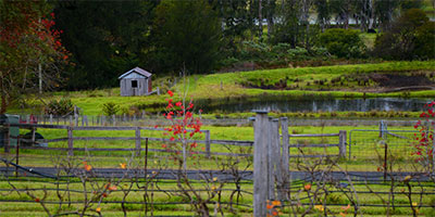 Thumbnail Image 1