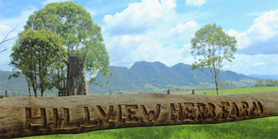 Thumbnail Image 1