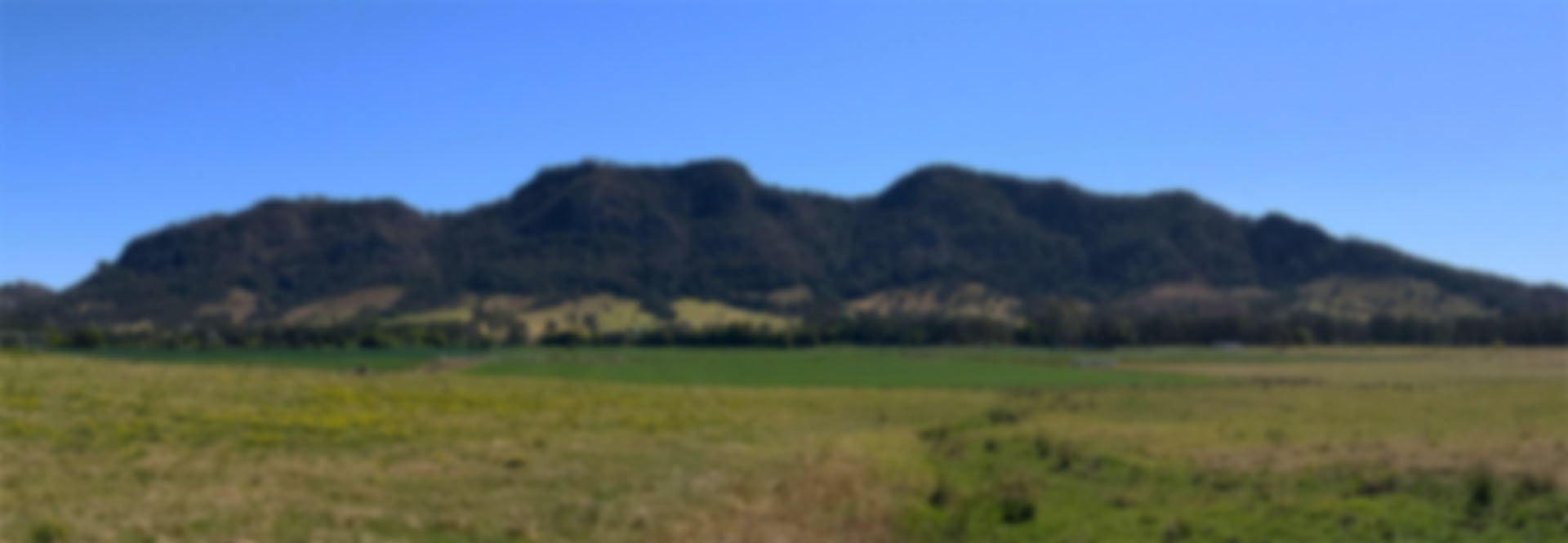 Bucketts Range